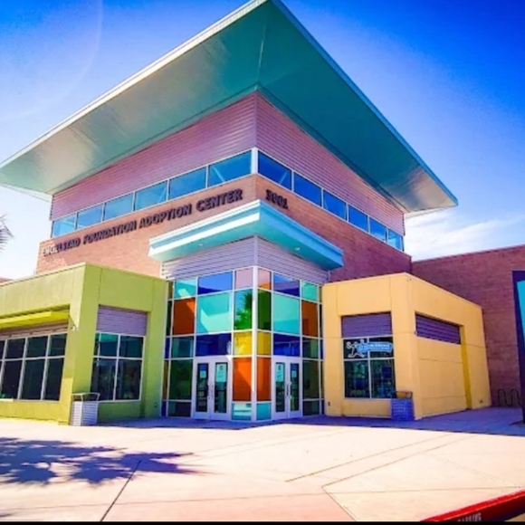 Updated Goal 05/23BIRTHDAY WISH-FOR EVERY $1 IN PROFITS .25CENTS ANIMAL - Picture 3 of 9